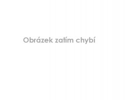 Ohňovec škeblovitý
